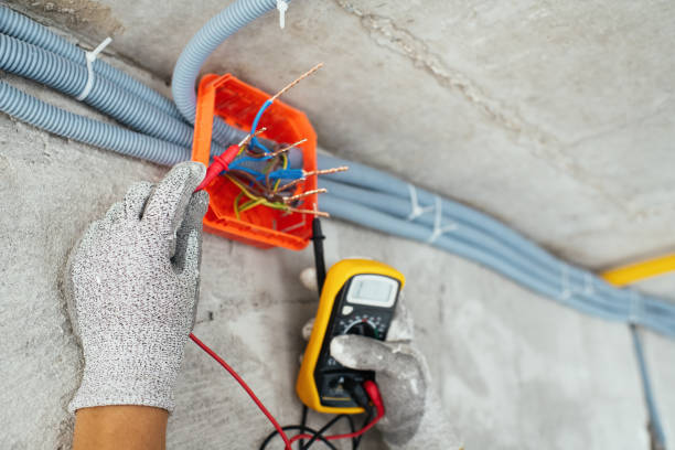 Best Affordable Electrician  in Vienna, IL