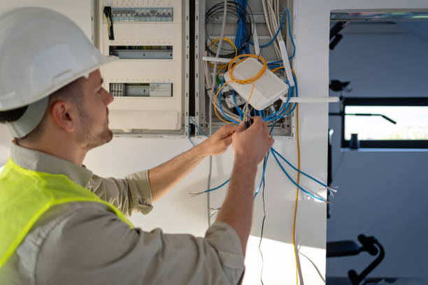 Best Electrical System Inspection  in Vienna, IL