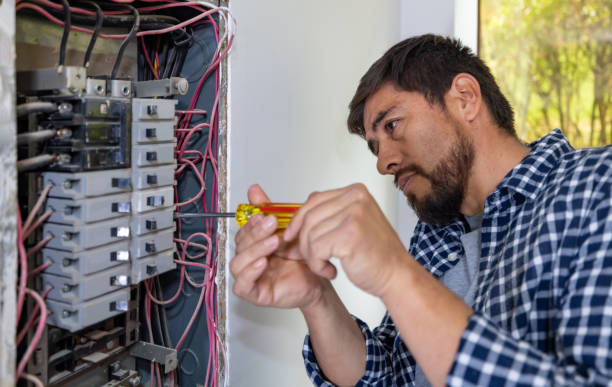 Best Electrical Repair Services  in Vienna, IL